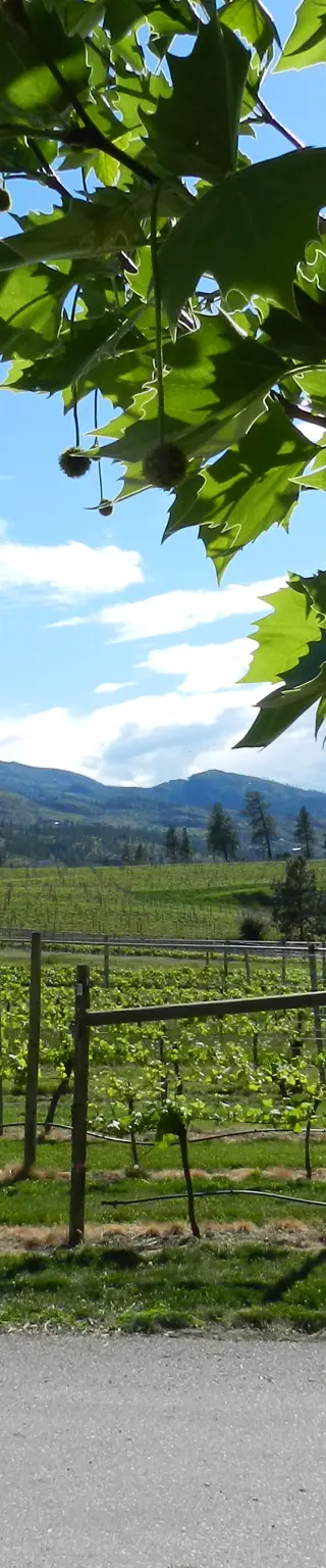 Lass dich von der malerischen Landschaft des Okanagan Valley verzaubern